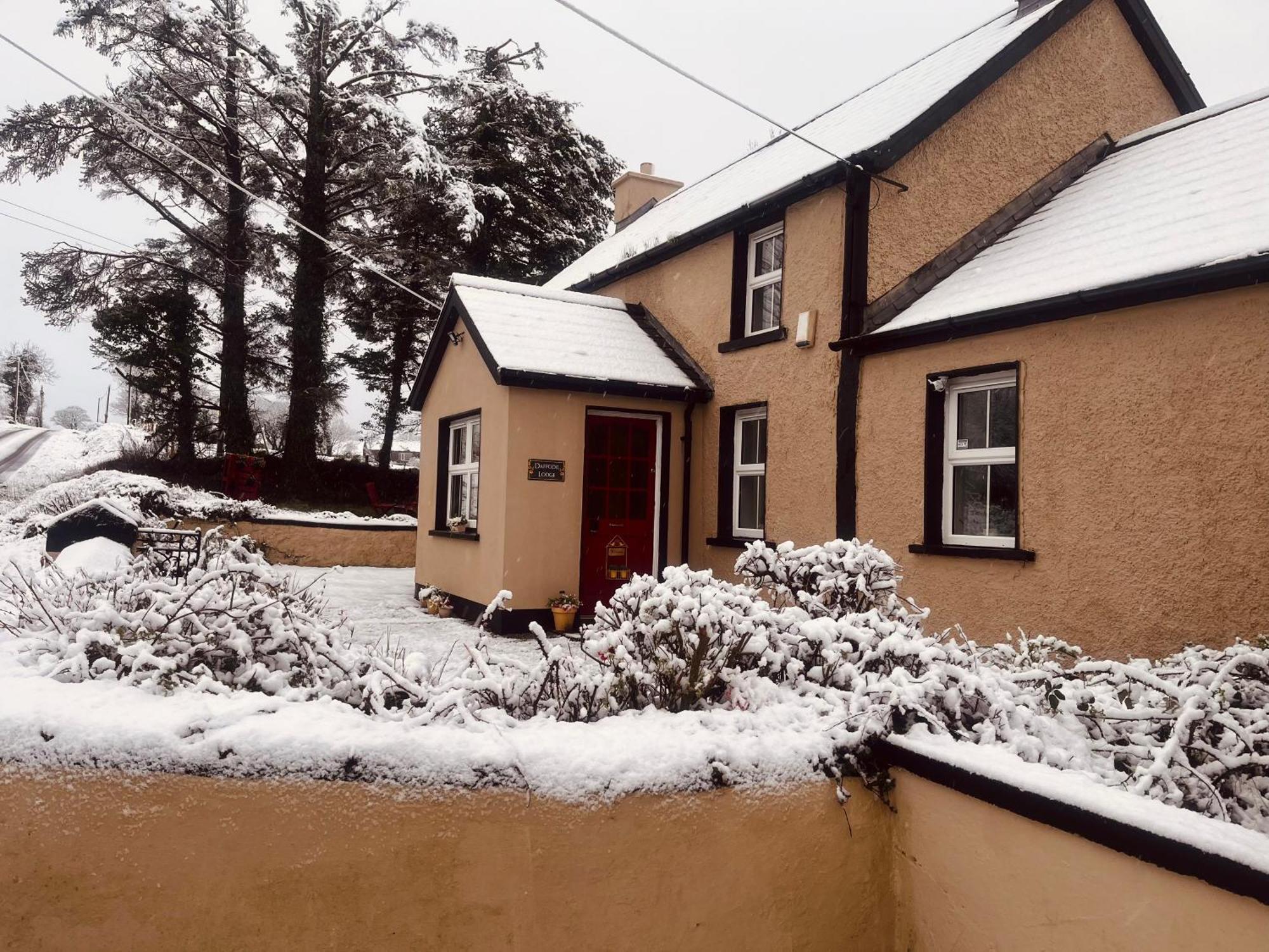 Daffodil Lodge Sligo Exterior foto